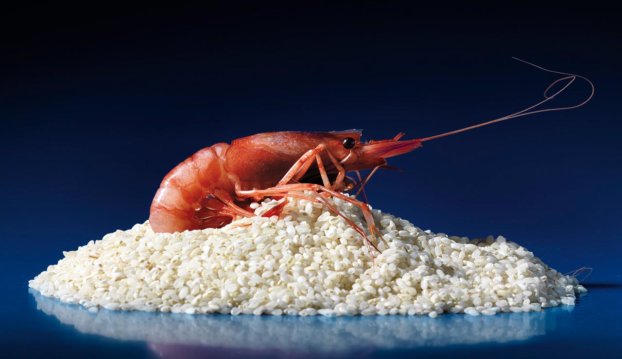 fotografía de producto, gastronomía